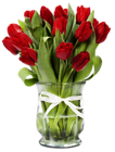 Transparent Vase with Red Tulips