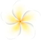 Tropical Exotic Flower PNG Clipart