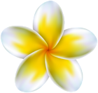 Tropical Flower Pink PNG Clip Art Image