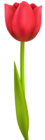 Tulip PNG Transparent Clip Art Image