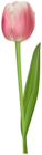 Tulip Transparent PNG Clip Art Image