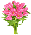 Tulips Bouquet Transparent PNG Clip Art