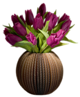 Tulips Vase PNG Picture