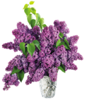 Vase with Purple Lilac PNG Clipart Picture