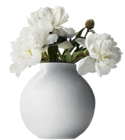 Vase with White Peonies PNG Clipart Picture