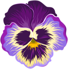 Violet Flower PNG Clip Art Image