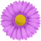 Violet Flower PNG Transparent Clipart