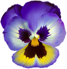Violet Flower Transparent Clip Art