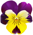 Violet Flower Transparent PNG Clip Art