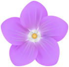 Violet Garden Flower Decor PNG Clipart