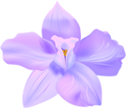 Violet Spring Flower Decorative Transparent Image