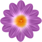 Violet Spring Flower PNG Clipart