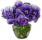 Violets Vase Bouquet Clipart