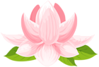 Water Lily PNG Clip Art Image