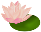 Water Lily Transparent Clip Art Image