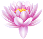 Water Lily Transparent PNG Clip Art Image
