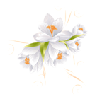 White Flower Decor Transparent PNG Clip Art Image