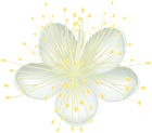 White Flower PNG Clip Art