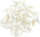 White Flower PNG Clip Art Image