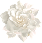 White Flower PNG Transparent Image