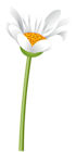 White Flower with Steam PNG Clipart