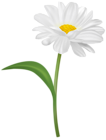 White Flower with Steam PNG Transparent Clipart