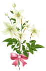 White Flowers with Pink Bow PNG Clipart Image