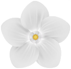 White Garden Flower Decor PNG Clipart