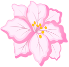 White Pink Flower PNG Clip Art Image | Gallery Yopriceville - High ...