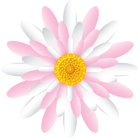 White Pink Flower Transparent PNG Clipart