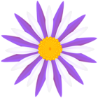 White Purple Flower PNG Transparent Clipart