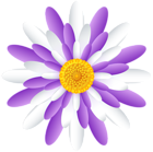 White Purple Flower Transparent PNG Clipart