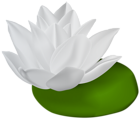 White Water Lily Transparent PNG Clip Art Image