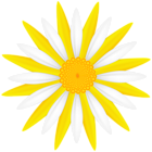 White Yellow Flower PNG Transparent Clipart