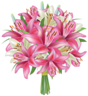 White and Pink Lilies Flowers Bouquet PNG Clipart Image
