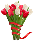 White and Red Tulips with Ribbon PNG Clipart Image