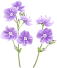 Wild Flower PNG Clip Art Image