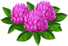 Wild Flowers PNG Clip Art Image