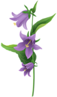 Wild Purple Bell Flower PNG Clip Art Image