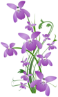 Wild Violet Flowers PNG Transparent Clipart
