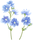 Wildflower Blue PNG Clip Art Image