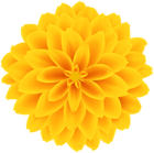 Yellow Dahlia Flower Transparent Clipart