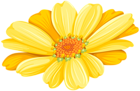 Yellow Daisy Transparent Clip Art Image
