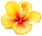 Yellow Exotic Flower PNG Clipart Picture