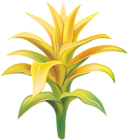 Yellow Exotic Flower Transparent Clip Art Image