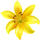 Yellow Flower Clip Art Image