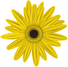 Yellow Flower Clip Art PNG Image