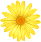 Yellow Flower Daisy PNG Transparent Clipart