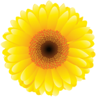 Yellow Flower PNG Clip Art Image