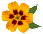 Yellow Flower PNG Clipart Image